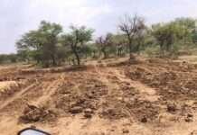 पिण्डवाड़ा में अवैध मिट्टी खनन का खेल, गोचर भूमि तक पहुंचा माफियाओं का जाल
