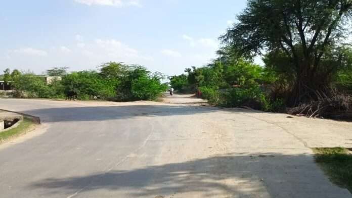 WhatsApp Image 2026-04-11 at 8.15.10 PM