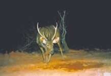 धौलपुर-करौली टाइगर रिजर्व में दिखा दुर्लभ चौसिंगा, सीसीटीवी में कैद