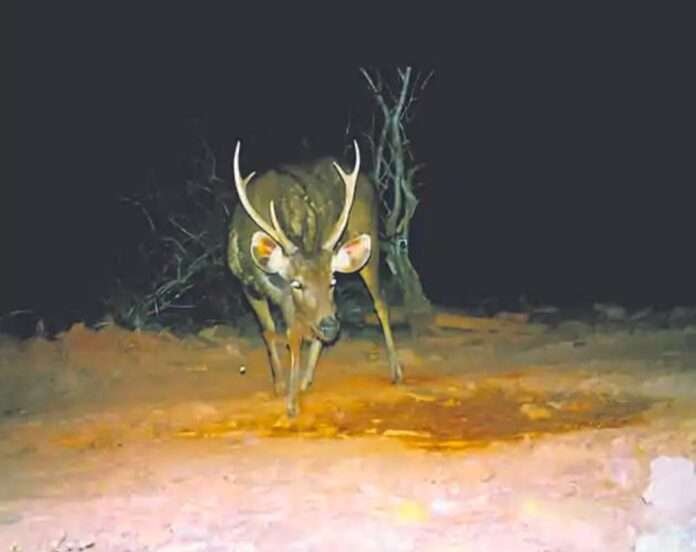 WhatsApp Image 2026-04-11 at 9.19.58 AM