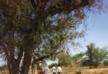 ग्राम लाई में अतिक्रमण हटाकर रास्ता खुलवाया, प्रशासन की बड़ी कार्रवाई