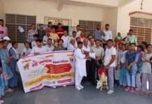 गौ सम्मान आव्हान अभियान: सेमारी उपखंड कार्यालय पर सौंपा ज्ञापन