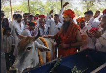 बड़लिया में संत-महंतों के सानिध्य में गोविंद गोपाल गोशाला का उद्घाटन