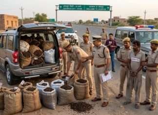 झालावाड़ से आ रही SUV से भारी मात्रा में डोडा चूरा जब्त, तस्कर गिरफ्तार