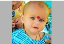 आवारा श्वानों के हमले में 2 वर्षीय मासूम की दर्दनाक मौत