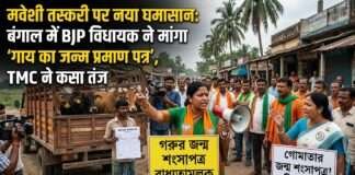 मवेशी तस्करी पर बंगाल में सियासी बवाल