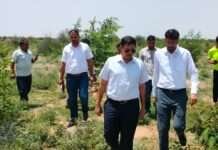 कलेक्टर देवेंद्र कुमार ने जायल क्षेत्र का किया व्यापक निरीक्षण