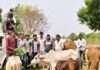 निरीक्षण के साथ पौधरोपण कर दिया पर्यावरण संरक्षण का संदेश