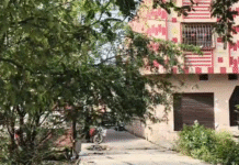 निगम कॉलोनी में गंदगी का अंबार, रहवासियों ने जताया रोष