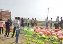 नीलगाय बचाने के प्रयास में दो ट्रक भिड़े, यातायात प्रभावित