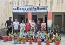 वन महोत्सव: सरकारी स्कूल में हुआ पौधारोपण, पर्यावरण संरक्षण का दिया संदेश