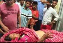 NH-48 पर भीषण सड़क हादसा, ट्रेलर अर्टिगा कार पर चढ़ा; दो की मौत, छह गंभीर घायल