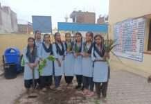 ‘मेरी माटी, मेरा पौधा’ अभियान: 42 पौधे रोपकर दिया पर्यावरण संरक्षण का संदेश