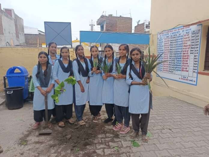 WhatsApp Image 2026-07-14 at 11.03.28 AM (1)