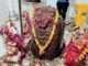 श्रावण मास की तैयारियों में सजा महाभारतकालीन कायावर्णेश्वर महादेव धाम