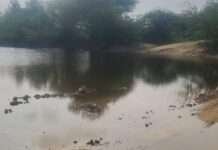 केमिकल युक्त दूषित पानी से प्रभावित किसानों को मिले मुआवजा