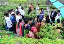 रूफटॉप फार्मिंग और किचन गार्डनिंग सीखने का सुनहरा मौका