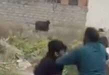 स्कूल ठीक करो अभियान के दौरान सीजेपी टीम पर हमला, कई घायल