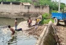 गांव की नाड़ी में हजारों मछलियों की मौत से सनसनी, प्रशासन ने शुरू की जांच