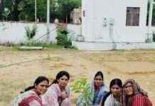 कस्तूरबा गांधी आवासीय छात्रावास में 101 पौधे लगाए