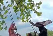 सावन में झूलों की पींग से महक रहा गंगधार