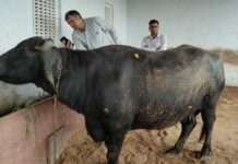 राष्ट्रीय न्यूनतम वेतन 30 हजार करने की मांग