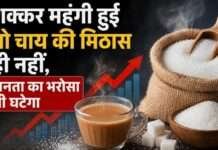 घरेलू बजट पर डाका: गुस्से में हुई शक्कर, अब चाय और मिठाई में मिठास भी महंगी