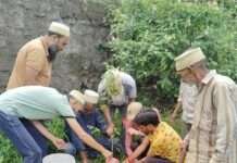 ईद-ए-मिलादुन्नबी पर बोहरा समाज ने किया वृक्षारोपण