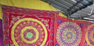 पिपली की हेरिटेज एप्लीक कला को GI पहचान, अब कलाकारों को आर्थिक संबल का इंतजार