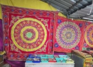 पिपली की हेरिटेज एप्लीक कला को GI पहचान, अब कलाकारों को आर्थिक संबल का इंतजार