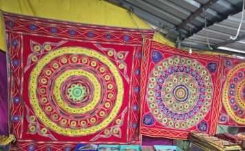 पिपली की हेरिटेज एप्लीक कला को GI पहचान, अब कलाकारों को आर्थिक संबल का इंतजार