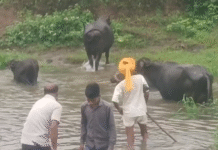 अंतिम सफर भी दुश्वार, 3-4 फीट पानी में शव ले गए ग्रामीण