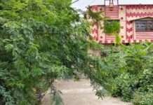 चौमहला में सफाई व्यवस्था बदहाल, जगह-जगह गंदगी के ढेर