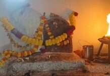 गोगा नवमी पर गूंजे जयकारे