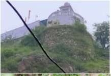 पहाड़ी से गिरकर दो गायों की मौत