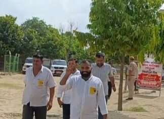 लोसल में कांग्रेस का दबदबा, 35 में से 16 सीटें जीतीं