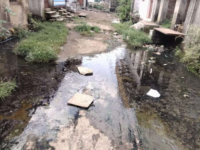 WhatsApp Image 2026-09-19 at 1.45.08 PM