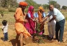 बेटियों के नाम पर लगाए 51 पौधे, देवासी समाज ने दिया पर्यावरण संरक्षण का संदेश